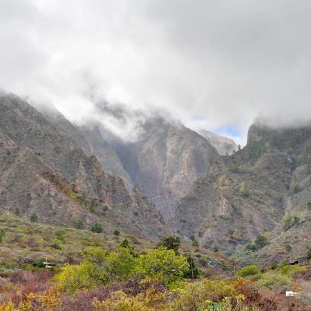 Naturaleza Viva El Socorro Bagian luar foto
