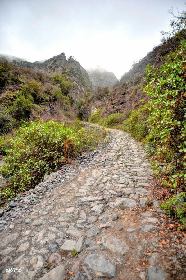 Naturaleza Viva El Socorro Bagian luar foto