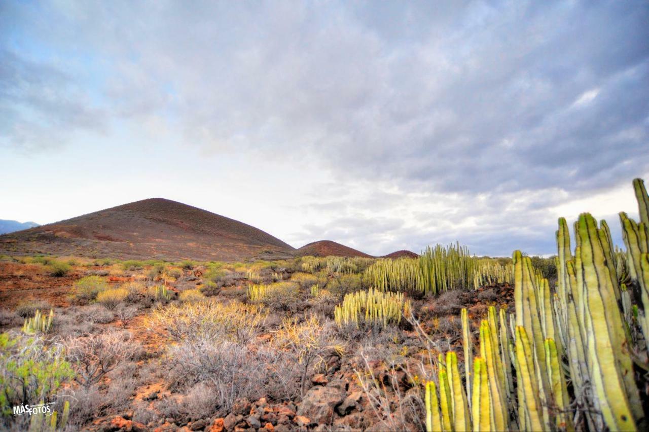 Naturaleza Viva El Socorro Bagian luar foto