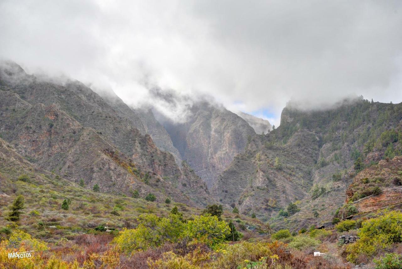 Naturaleza Viva El Socorro Bagian luar foto