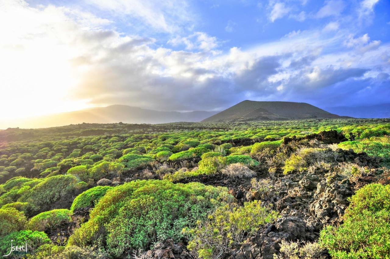 Naturaleza Viva El Socorro Bagian luar foto
